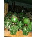 Spare parts for ship engines 3D6, 3D12, 1D12, 7D6, 7D12, 1D6, U1D6, 1D6-100AD, 1D6-150, 1D6-150AD, 2D6, 3D6S